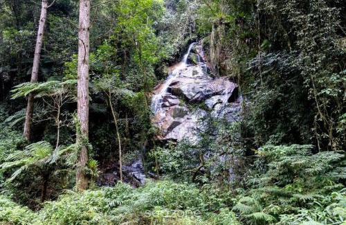 Anitapolis House | Romantic cabin with view and hot tub | VST036