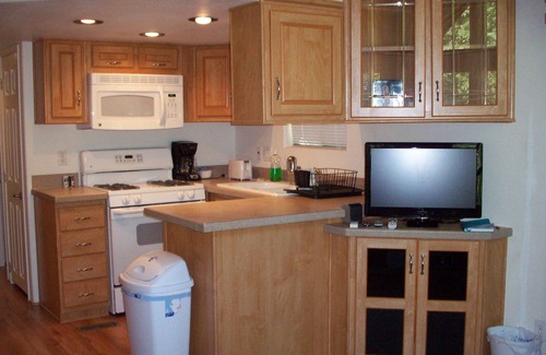 Hot Springs Cabin | Romantic Honeymoon cabin on Spring Creek with hot tub fire ring trout fishing