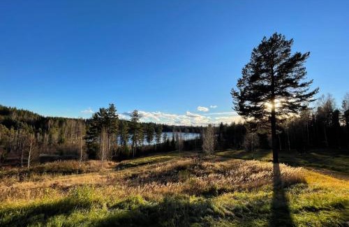 Strombacka Other | Romantic night in a dome tent lake view