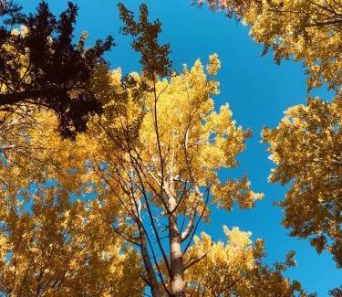 Strombacka Other | Romantic night in a dome tent lake view