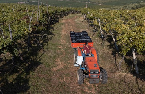 Lione Apartment | Room 'Amarone' Shared Garden and Wi-Fi