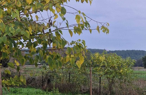 Bedarrides House | Room for rent in a quiet house in the countryside