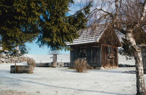 Auberg House | Room in a Farm Residence Austria - Shared bathroom