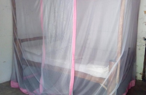 Gede House | Room in B&B - Mida Creek Eco Camp - Relax in Cosy Cottage