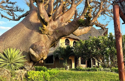 Shimoni Villa | Room in Guest Room - Dolphin Suite 40 m2 in Villa 560 m2, Indian Ocean View