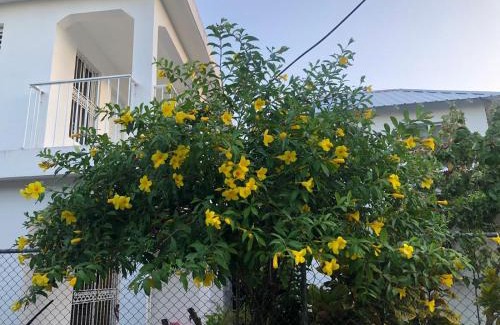 Las Terrenas Apartment | Room Vanesa