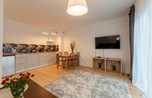 Lodz Apartment | Rosa Apart Janów z miejscem parkingowym