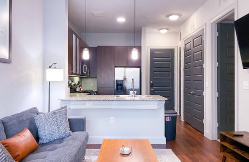 The Galleria Apartment | Rose at the Millennium - Stylish 1 BR in Houston