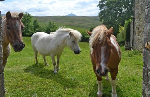 Wigton House | Rosedale- Lyl