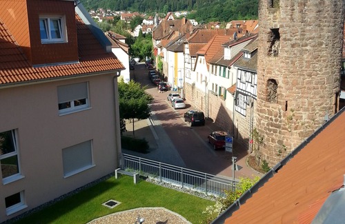 Eberbach Apartment | ROSENTURMBLICK - centrally located, furnished apartment for temporary rental