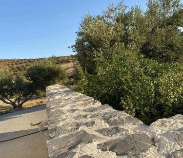 Gortyna Villa | Rouvas Villas