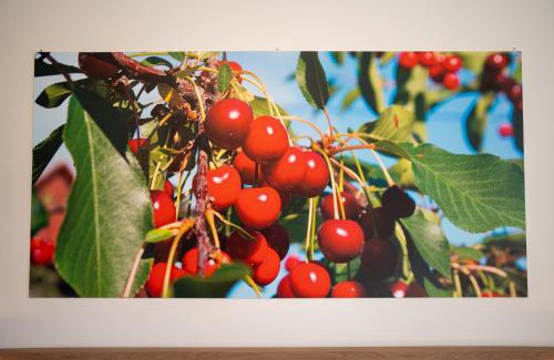 Roveleto House | roveleto camere