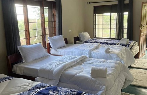 South Luangwa National Park Cabin | Royal South Luangwa Safaris Lodge