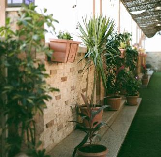 Tanta Apartment | Royal palace