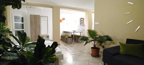 Szentgal House | RP FitLife Stúdió és Vendégház