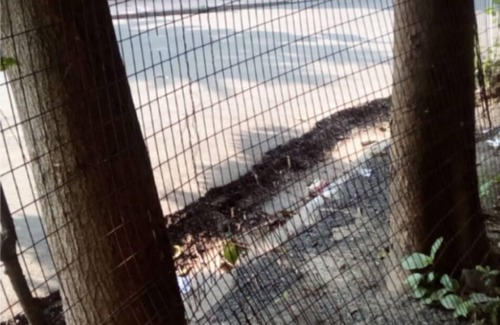 Sector 1 House | Rs. 30000/4br - Nonprofit IIBHB (www.iibhb.org), Kolkata seeking renters