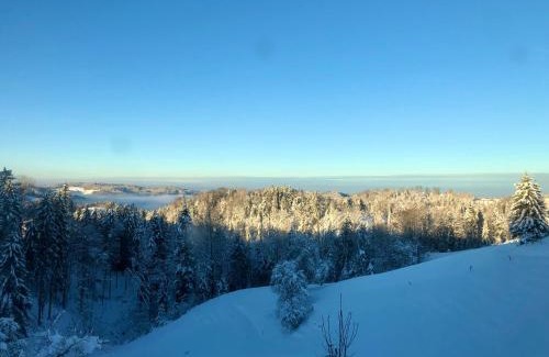 Turbenthal Apartment | Ruhige Weitsicht