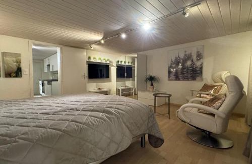 Turbenthal Apartment | Ruhige Weitsicht