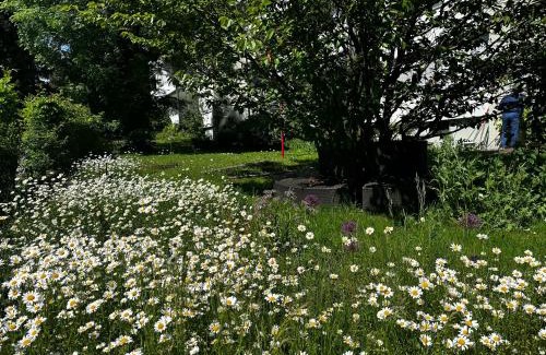 Zollikofen Apartment | Ruhiger Vorort Bern kostenloses Parken 6km Zentrum