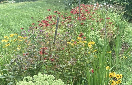 Bethel Apartment | Run, ride, hike and swim in Central Vermont