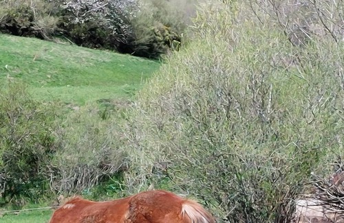 Llanaves de la Reina House | Rural accommodation with fireplace, in Picos de Europa
