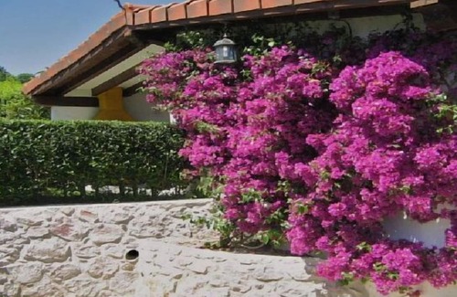 Lamadrid Cottage | RURAL HOUSE LA HUERTA