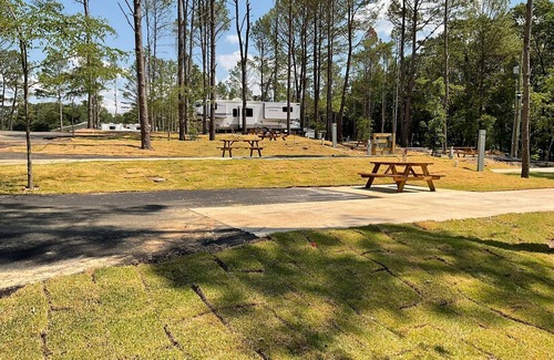 Mount Vernon Cabin | Rustic Fishing Retreat 1 Bed/1 ADA Bath