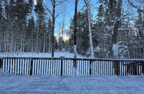 Michigamme House | Rustic Lake Michigamme Hideaway