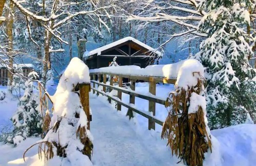 Lisbon House | Rustic Log Cabin #6 - "Fireside"