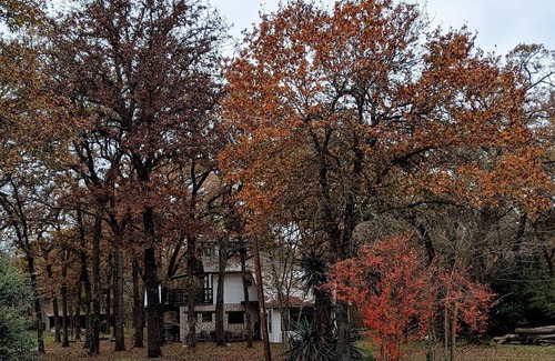 Perry Cabin | Rustic modern cabin surrounded by trees and large yard 25 miles from Waco/Temple