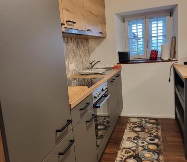 Emmetten Apartment | Rustico Apartment in Emmetten