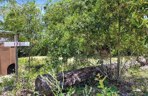 Indian Pass RV Rental | RV Lot, Indian Pass, Close To The Beach ~ Maxtoria