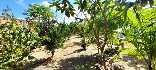 Benevides House | Sítio Amazônia Cop30