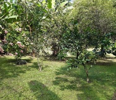 Parque Santo Antonio House | Sítio dos Guedes