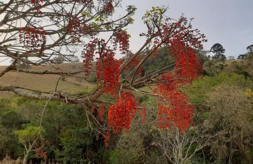 Cunha House | Sítio Via Láctea