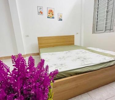 My Đinh Hostel | Số nhà 17 ngõ 20 đường Mỹ đình hoặc 51 Nguyễn hoàng