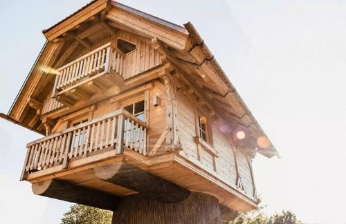 Seelbach Apartment | 's Baumhaus Dörfle - Holiday paradise Schwarzwälder Hof