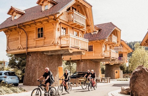 Seelbach Apartment | 's Baumhaus Dörfle - Holiday paradise Schwarzwälder Hof