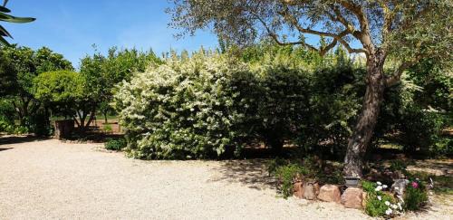 Sassari House | "SA DOMO DE SOS ARANZOS"