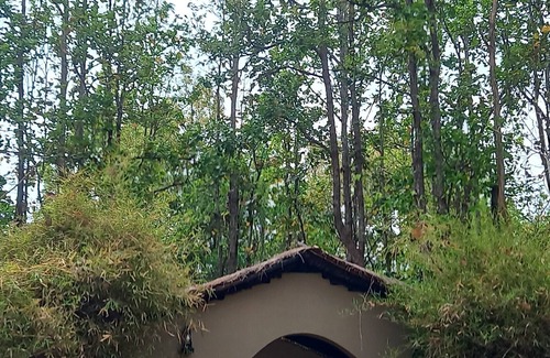 Mukki Hotel | Saccharum Safari Lodge