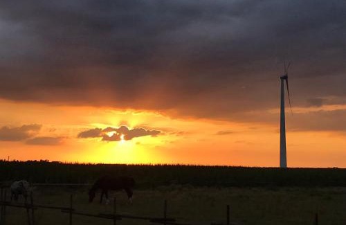 Netterden Other | Safaritent bij Pipowagen en kampeerhoeve s Gravenhof