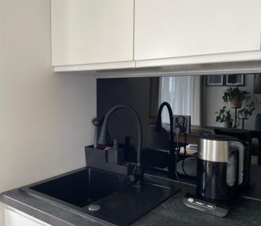 Piotrkow Trybunalski Apartment | Saga