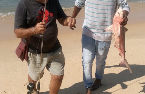 Gujjadi Bed & Breakfast | ‘SAI DHAM’ Beach House Bungalow for Rent in Gujjadi