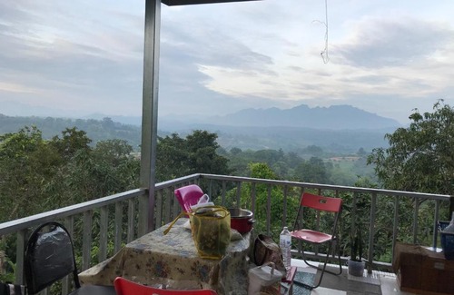 Mueang Ngai House | Saithonghouse the garden