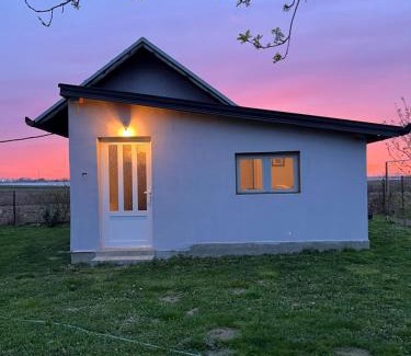 Novi Sad House | Salaš na dan, Futog