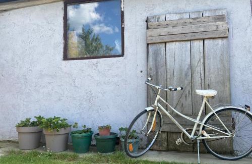 Novi Sad House | Salaš na dan, Futog