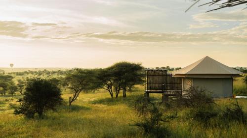 Serengeti National Park Resort | Salinero Serengeti