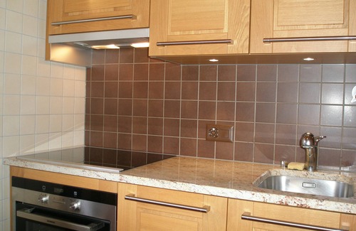 Salvan Ski Chalet | Salvan/Les Marécottes : Mountain views - Garden, terrace - Skiing and hiking