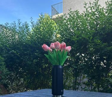 Nordstadt Apartment | SALVIA II exklusiv & smart & Terrasse II Dein City-Apartment