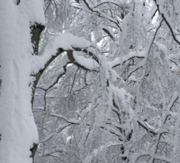 Bagnoli Irpino House | San Domenico